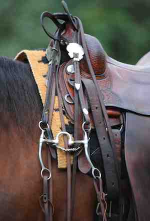 Horse-trivia-tack-tcjul18tie