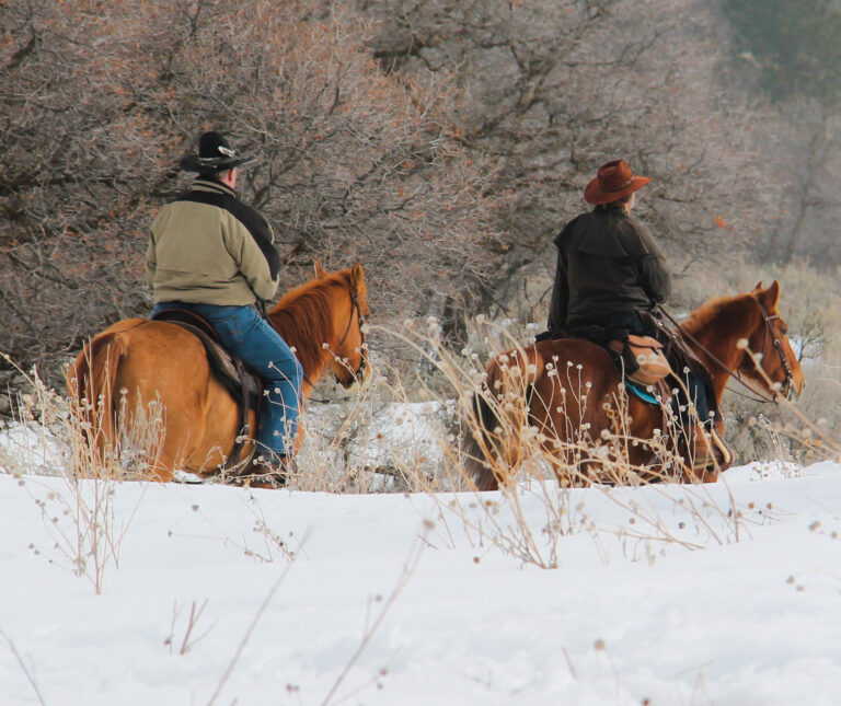 man on horse in the snow