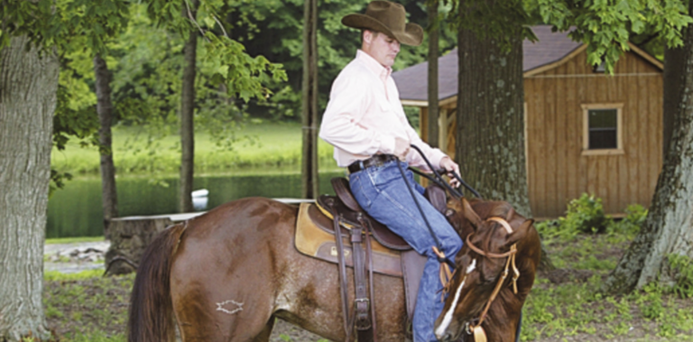 Clinton anderson trail riding