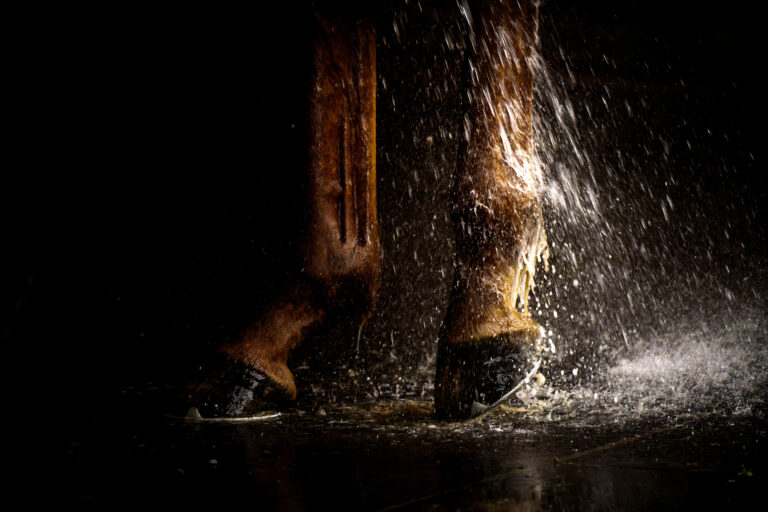 horse legs splashed with water highlighted on black background, close up, copy space