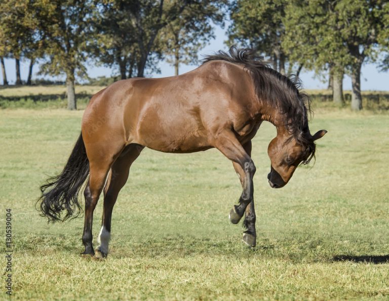 AdobeStock_130539004_Preview