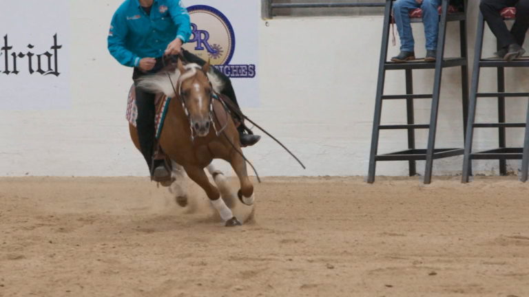 01_HORSEWEEK2021_BI_PROMO_FINAL_VIMEO