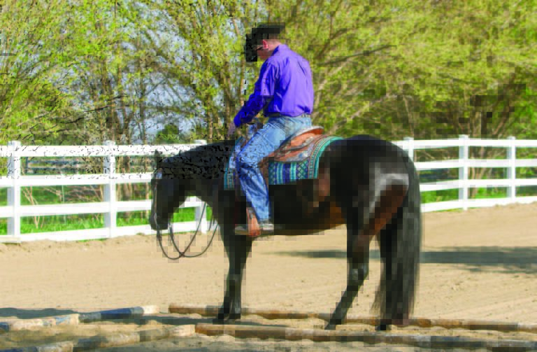 031_HR_0818_Page_2_Image_0003