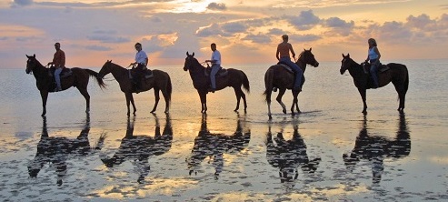 10 Warm Beach Rides promo image