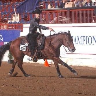 100091605_245367020074804_2079885037469171712_n