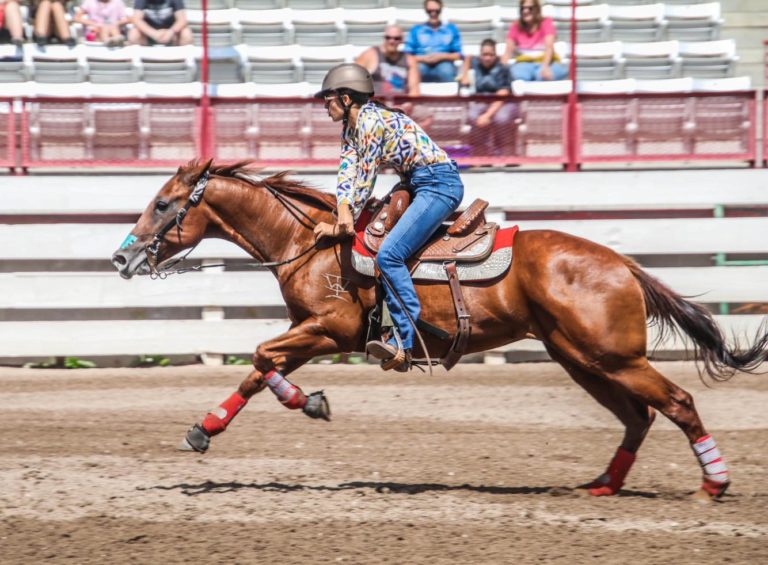 109297985_4713016288724131_6151533991029048415_o