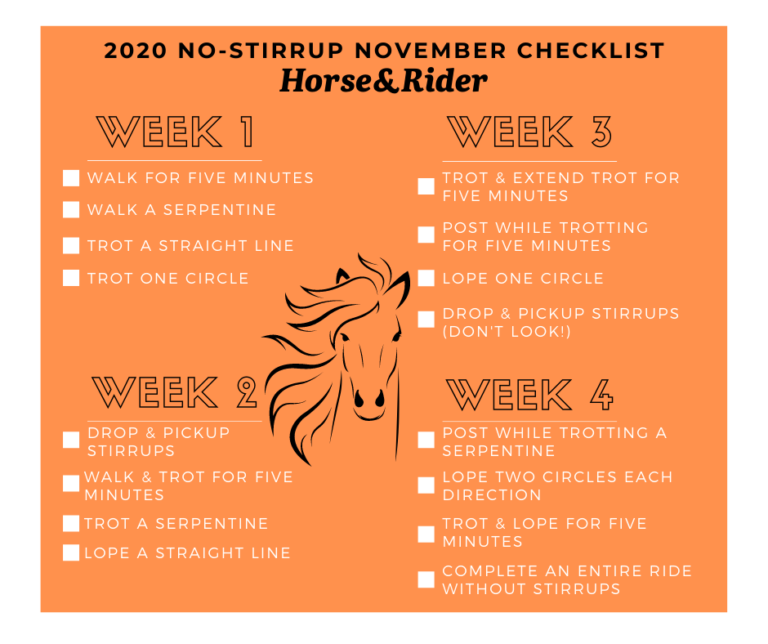 2020 No-Stirrup November