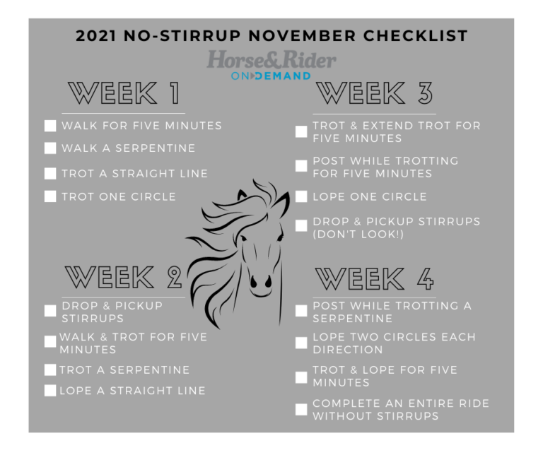 2021 No-Stirrup November (1)