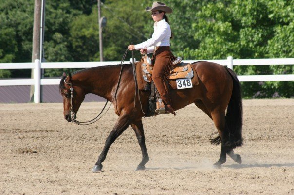 223576_1013054443822_6565_n