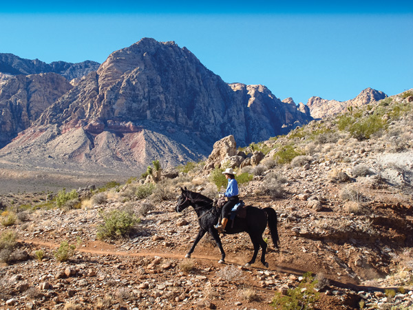 : Three Cowboys Riding a Horse Moon Cacti on a Red