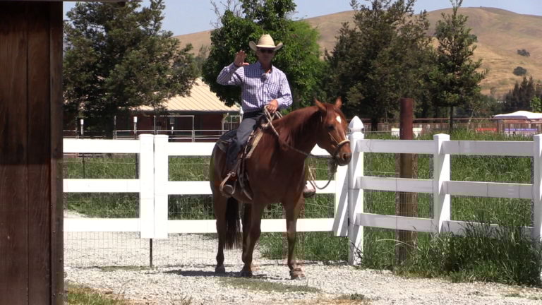 50 Foot Trail Ride 2_0 Apple HD Best Quality