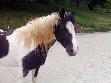 A Helping Hand promo image