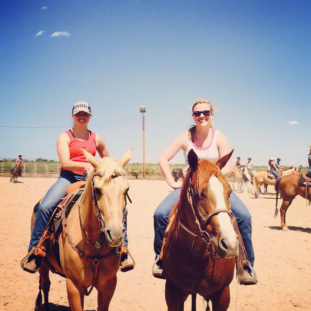 A Stab At Ranch Sorting promo image