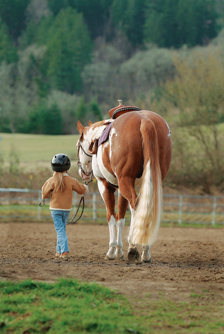ABCs for Teaching Tyke Riders Part 1: Getting Started promo image