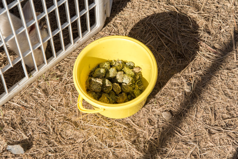 AdobeStock_184043879