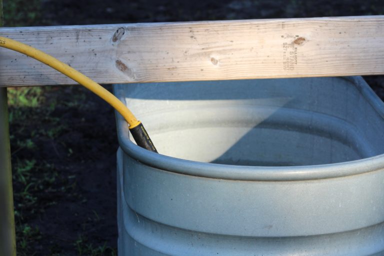 AdobeStock_207524505