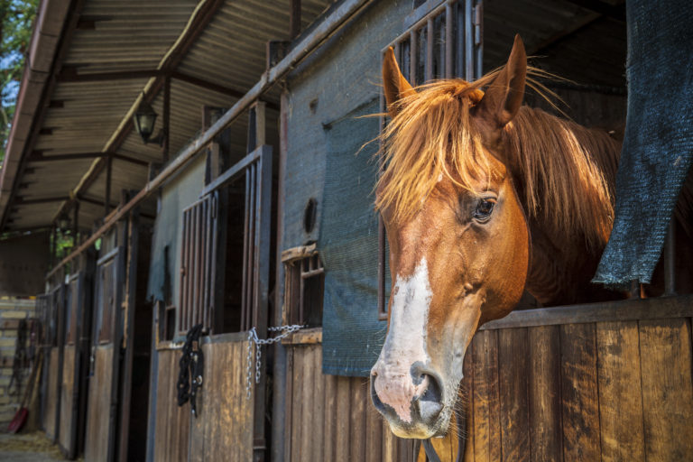 AdobeStock_224443307