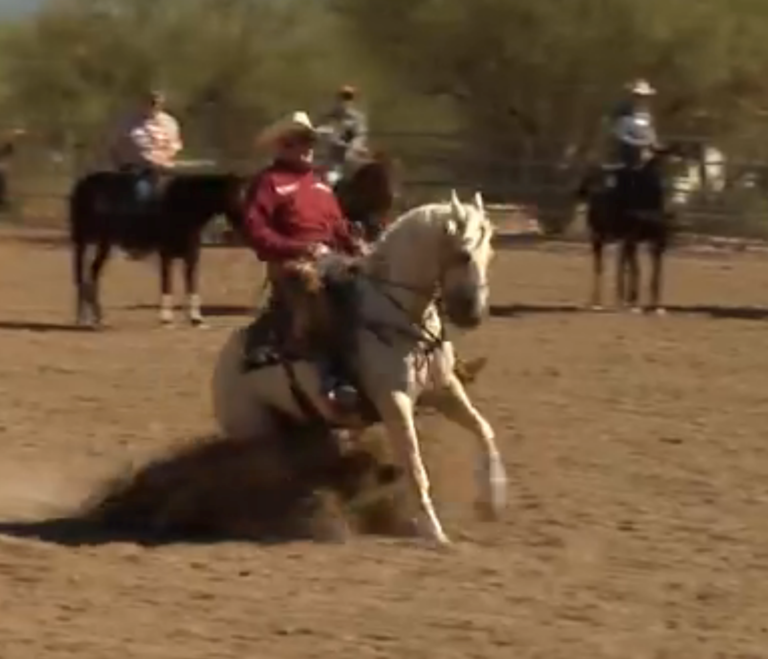 Al Dunning: Horsemanship Basic #3: Sit Down and Say, 'Whoa