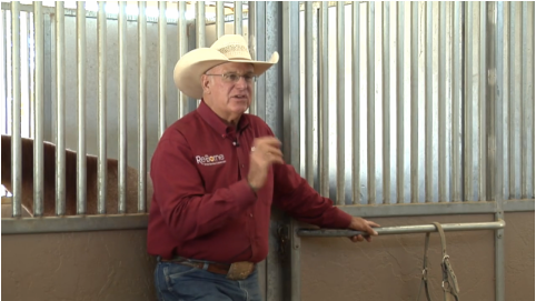 Al Dunning: Tips on Mares, Geldings, and Studs promo image