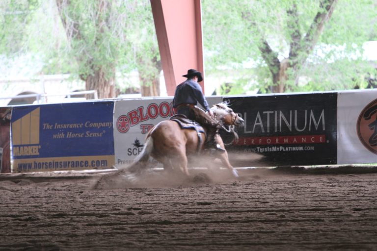 All Play, Some Work promo image