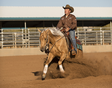 Andrea Fappani performs a sliding stop on a palomino reining horse.