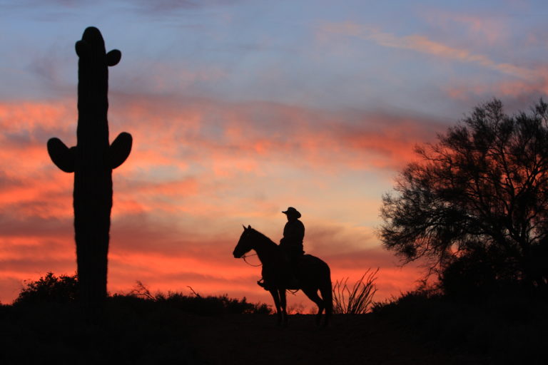 ARIZONA-TONTONF-KRONE