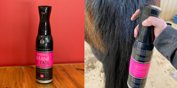 AskAnnie HR Header Episode 30