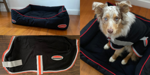 AskAnnie HR Header Episode 32