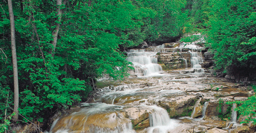 asset_upload_file322_8915