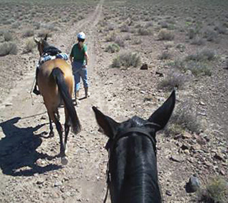 asset_upload_file490_2532