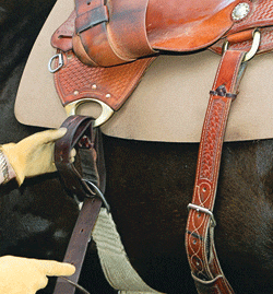 asset_upload_file972_11242