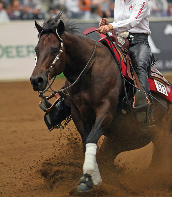 avoid ulcers weekly tip