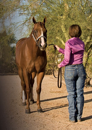 Back Straight on the Ground promo image