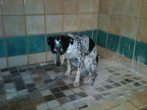 Bad Things Come in Threes..