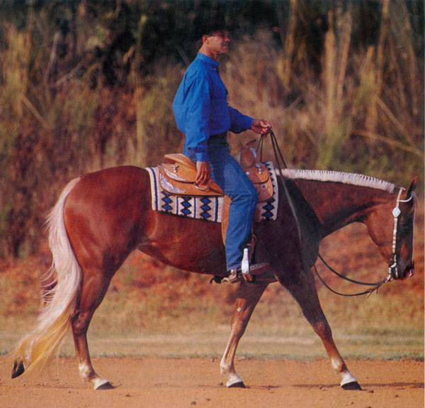 Balance Comes First in Western Pleasure promo image