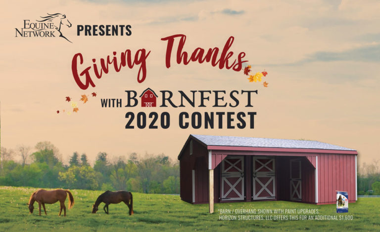 Barnfest-digital-banner_1000