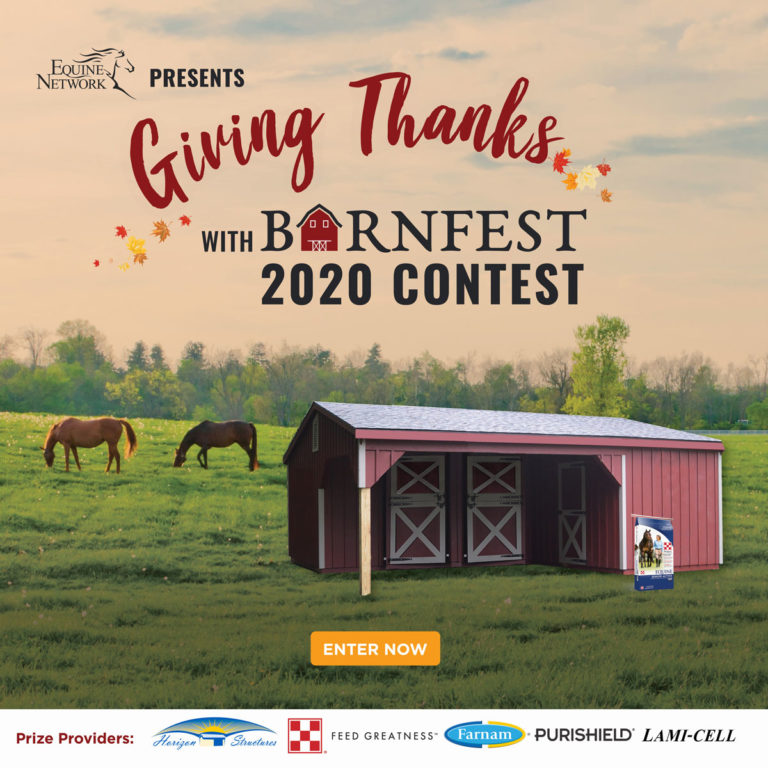 Barnfest-digital-banner_1200x1200-less-copy