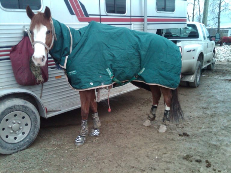 Blankets, Blankets, Blankets! promo image