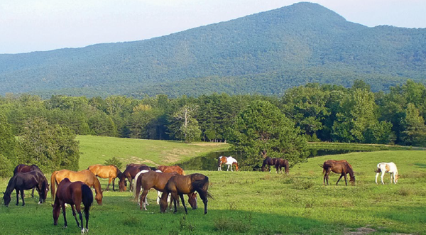 Blue Ridge Getaway promo image