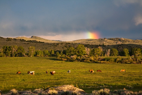 Brush Creek Ranch in Wyoming promo image