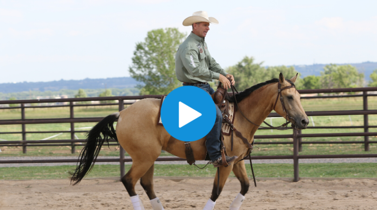 budextendwalk copy 2