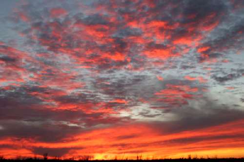 Cactus & Corrals: Trail Riding in Southeastern Arizona promo image