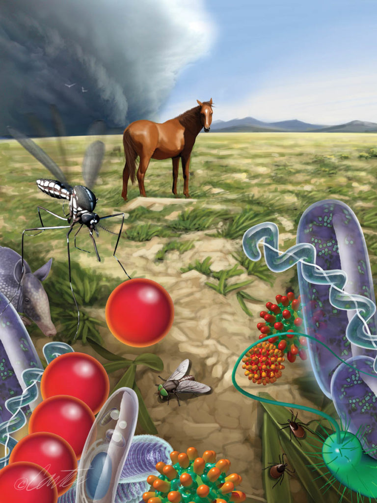 Climate Change and Horse Health promo image