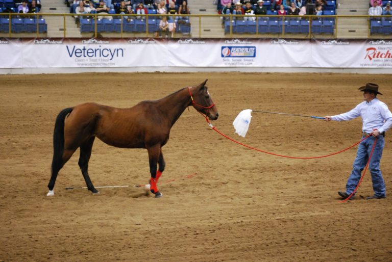 Clinton Anderson, on H&R's Home Turf promo image