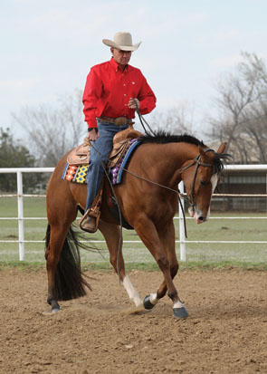 Counter Canter promo image