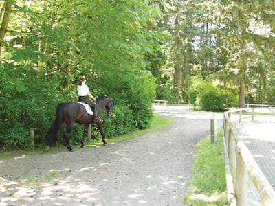Courtesy of Bridle Trails State Park