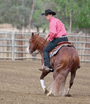 Mike Berg is wearing a pink shirt and asking a sorrel horse to perform a reining rollback.