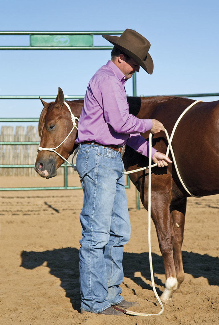 Desensitizing to Cinch Pressure promo image