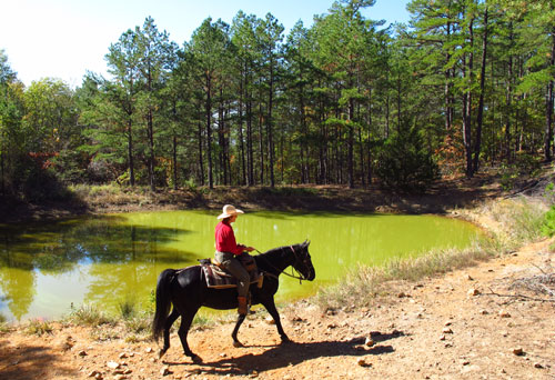 Discover Hidden Hills promo image