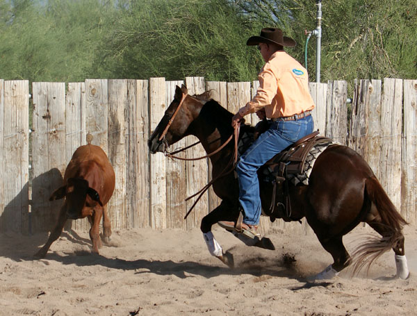 Driving the Cow promo image